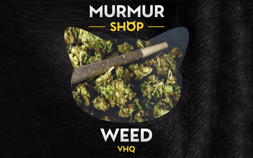 Mega Market облачное хранилище